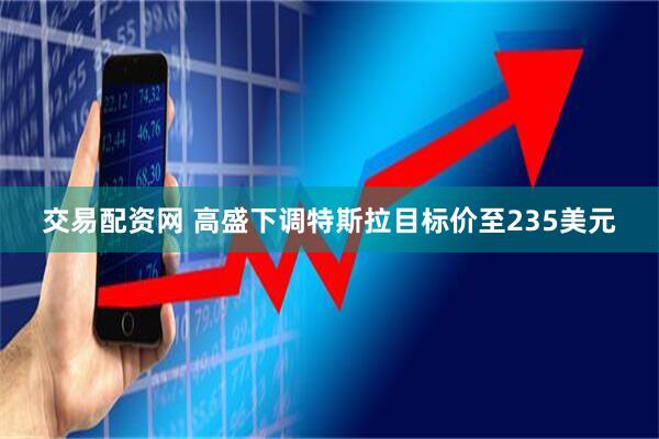 交易配资网 高盛下调特斯拉目标价至235美元