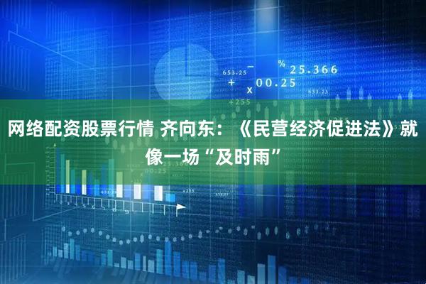 网络配资股票行情 齐向东：《民营经济促进法》就像一场“及时雨”