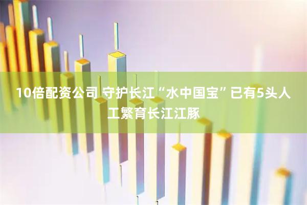 10倍配资公司 守护长江“水中国宝”已有5头人工繁育长江江豚