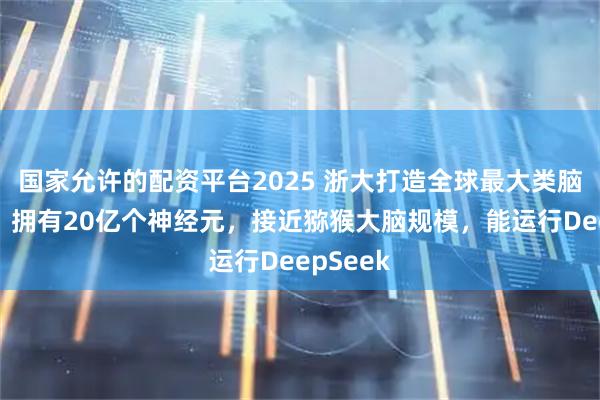 国家允许的配资平台2025 浙大打造全球最大类脑计算机，拥有20亿个神经元，接近猕猴大脑规模，能运行DeepSeek
