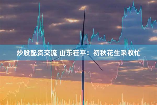 炒股配资交流 山东茌平：初秋花生采收忙
